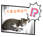 763808567