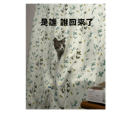 763808576