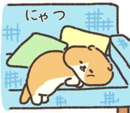 763809556