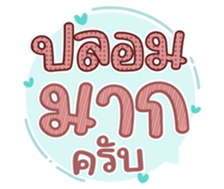 763811153