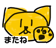 763813212