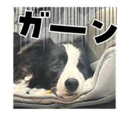 763818245