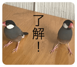 763825143
