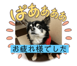 763825772