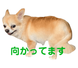 763841925