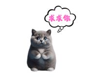 763846401
