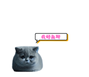 763846404