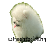 763859633