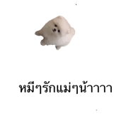 763859635