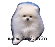763859636