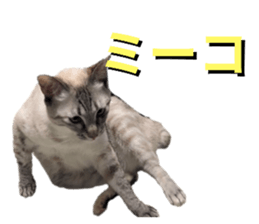 763862698