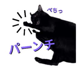 763862708