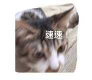 763867304