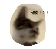 763867311