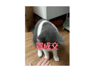 763870743