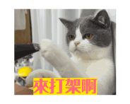 763870750