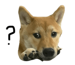 763875235