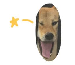 763875244