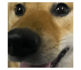763875249