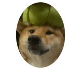 763875256