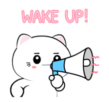 763877381