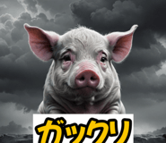 763877643