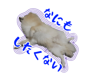 763879387