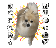 763879391