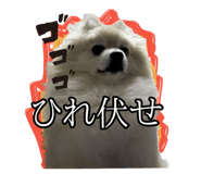 763879396