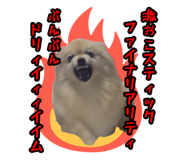 763879400