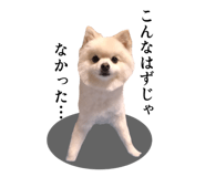 763879402