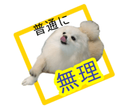 763879407