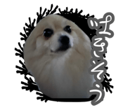 763879409