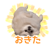 763879412