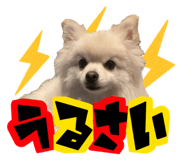 763879413