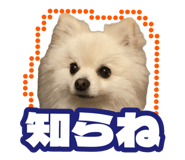 763879414