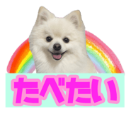 763879416