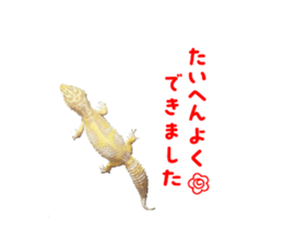 763880090