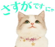 763880160
