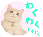 763880161