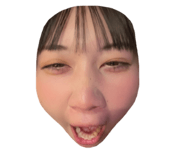 763881337