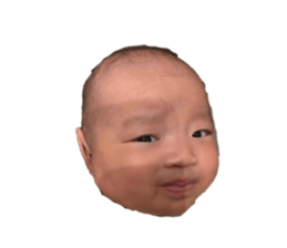763882261