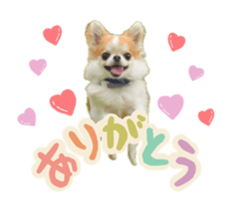 763883420
