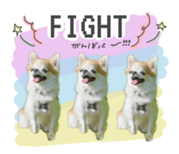 763883430