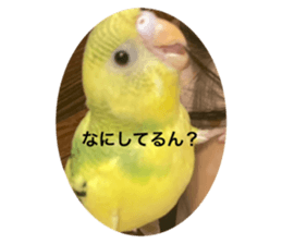 763883495