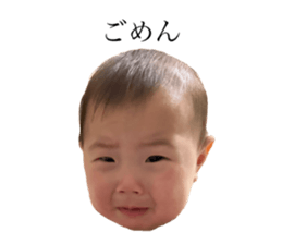 763886633