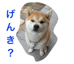763909385