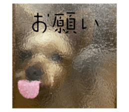 763910503