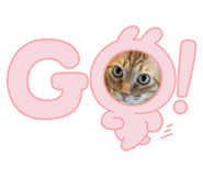 763933147