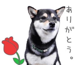 763933305